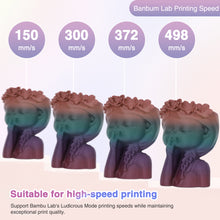 Load image into Gallery viewer, Amoybaby Matte Rainbow PLA 3D Printer Filament, 1.75±0.03mm Vibrant Color Gradient PLA, Low Warping&High Precision 3D Printing Filament, Flame Spectrum 1kg Spool(2.2lb), Fits for most FDM 3D Printers