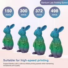 Load image into Gallery viewer, Amoybaby Matte Rainbow PLA 3D Printer Filament, 1.75±0.03mm Vibrant Color Gradient PLA, Low Warping&amp;High Precision 3D Printing Filament, Neon Passage 1kg Spool(2.2lb), Fits for most FDM 3D Printers
