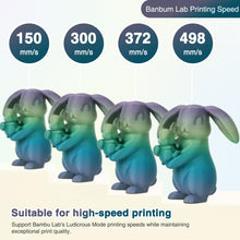 Load image into Gallery viewer, Amoybaby Matte Rainbow PLA 3D Printer Filament, 1.75±0.03mm Vibrant Color Gradient PLA, Low Warping&amp;High Precision 3D Printing Filament, Aurora Whisper 1kg Spool(2.2lb), Fits for most FDM 3D Printers

